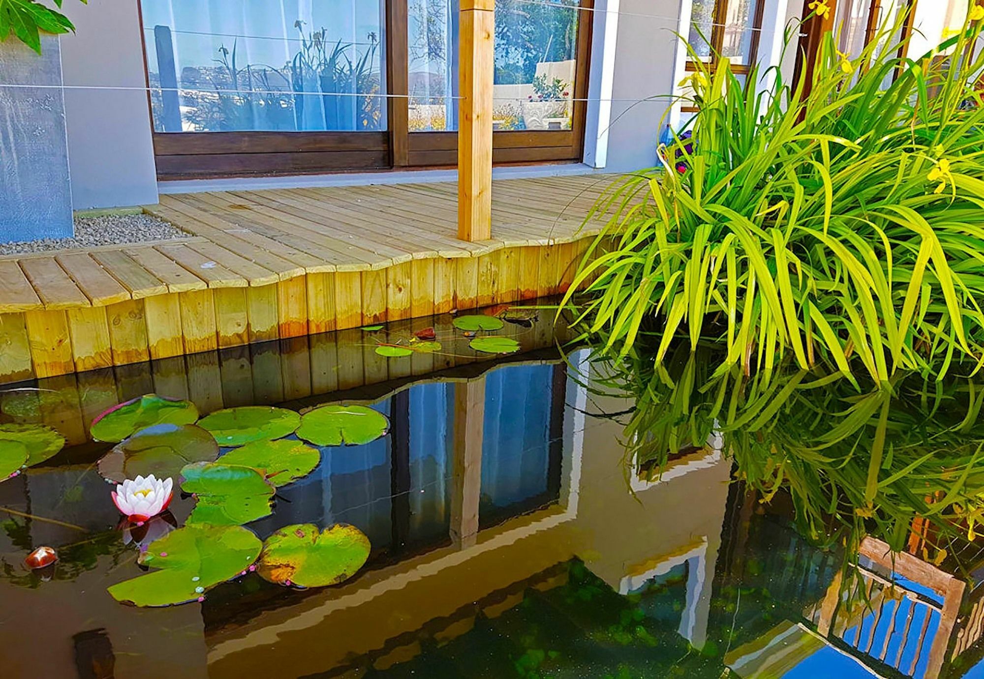Hotel Claude Knysna Buitenkant foto